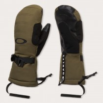 Перчатки Oakley Powder Ridge 2026